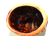 Victorian Ceramic Vase Boot Shoe Brown Orange