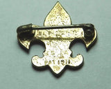 Eagle Pin BSA Badge Boy Scouts Of America Pat 1911