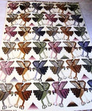  Hand Woven Wool Tapestry Wall Hanging Art Decor Handmade Bird Pyramid Design Multi Color Brown Fringe Artist Signed WPARIONA Southwestern Throw Rug Vintage Wool